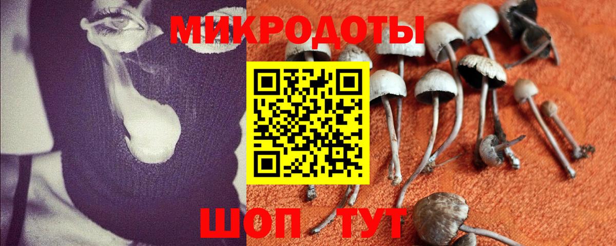 Галлюциногенные грибы ЛСД  Псилоцибиновые грибы GOLDEN TEACHER  Вход с VPN  Кострома 